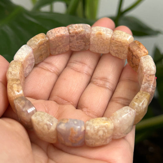 18cm Natural Fossil Coral Jade Soft Bangle | Natural Square Coral Jade Bracelet | Natural Ocean Coral Bangle | Stretchy Bangle, Gift for Her