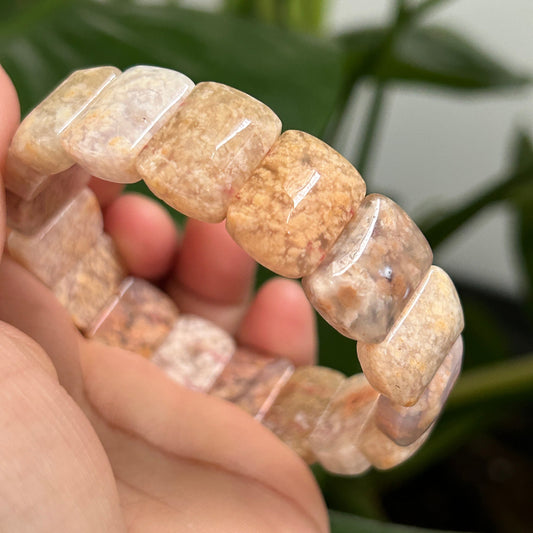 18cm Natural Fossil Coral Jade Soft Bangle | Natural Square Coral Jade Bracelet | Natural Ocean Coral Bangle | Stretchy Bangle, Gift for Her