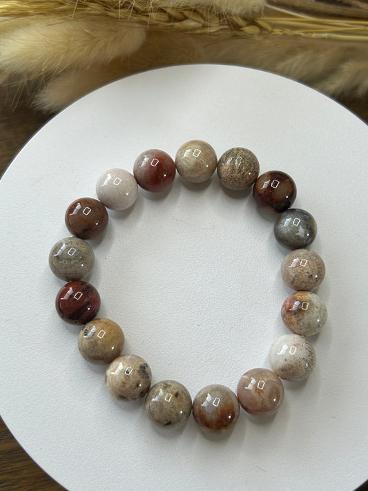 11-15mm Fossil Coral Jade Soft Bangle | Natural Coral Jade Bracelet | Natural Ocean Coral Bangle | Stretchy Bangle, Gift for Her