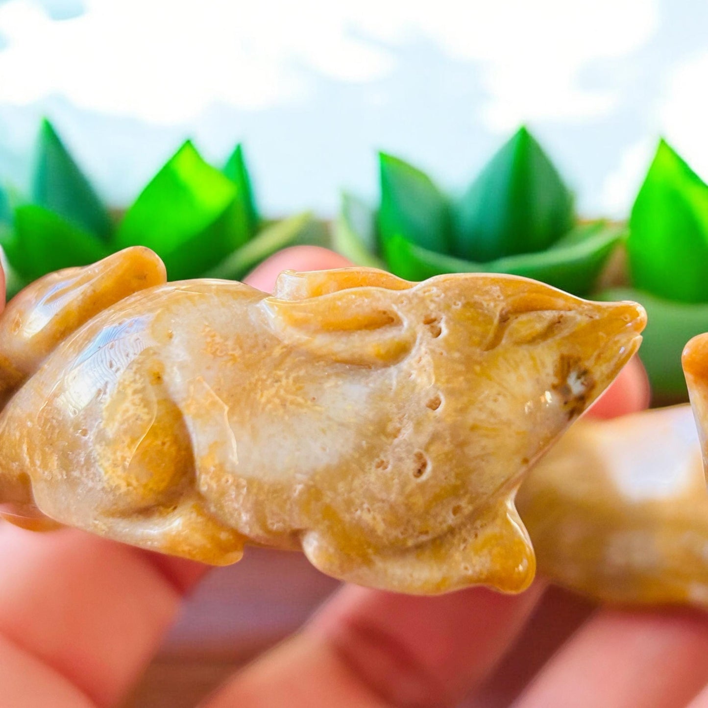 Nine Tail Fox Jade Bangle - Small 56.8mm Fossil Coral Crystal Bracelet | Soluna Gems