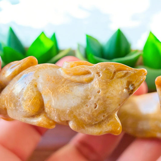 Nine Tail Fox Jade Bangle - Small 56.8mm Fossil Coral Crystal Bracelet | Soluna Gems