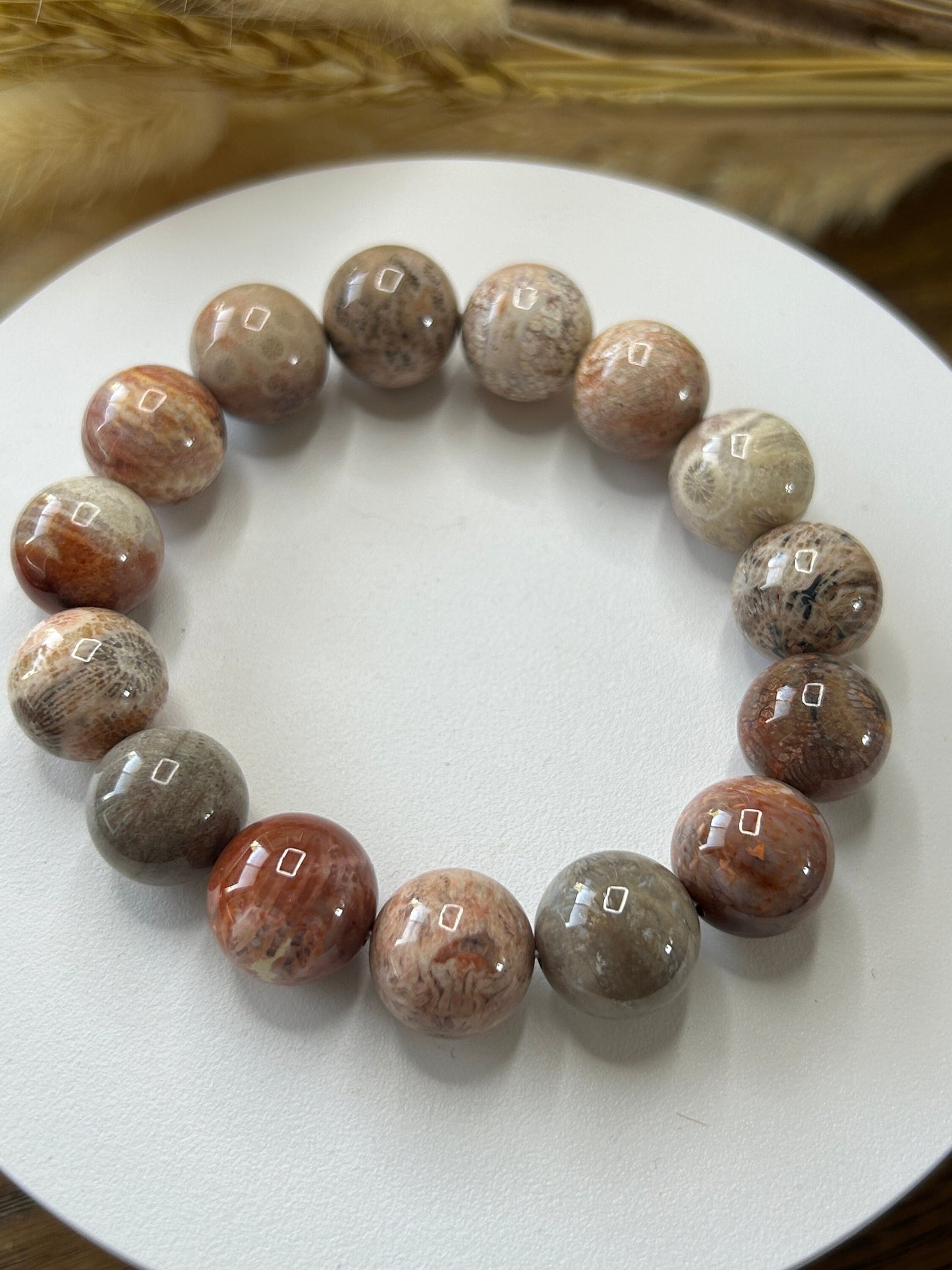 11-15mm Fossil Coral Jade Soft Bangle | Natural Coral Jade Bracelet | Natural Ocean Coral Bangle | Stretchy Bangle, Gift for Her